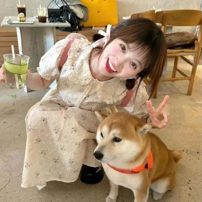 静静的决斗